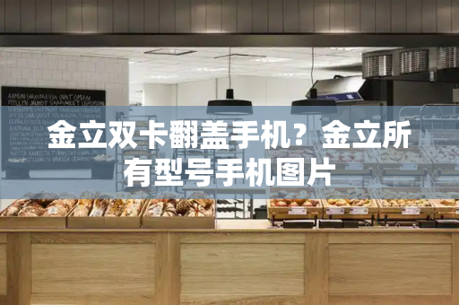金立双卡翻盖手机？金立所有型号手机图片