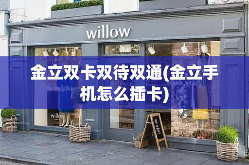 金立双卡双待双通(金立手机怎么插卡)