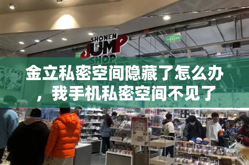 金立私密空间隐藏了怎么办，我手机私密空间不见了