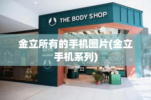 金立所有的手机图片(金立手机系列)