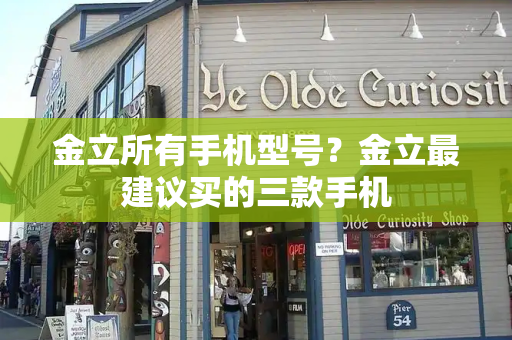 金立所有手机型号？金立最建议买的三款手机-第1张图片-星选测评