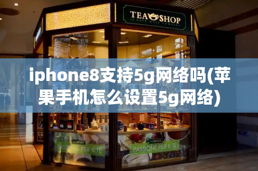 iphone8支持5g网络吗(苹果手机怎么设置5g网络)-第1张图片-星选测评