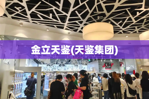 金立天鉴(天鉴集团)-第1张图片-星选测评