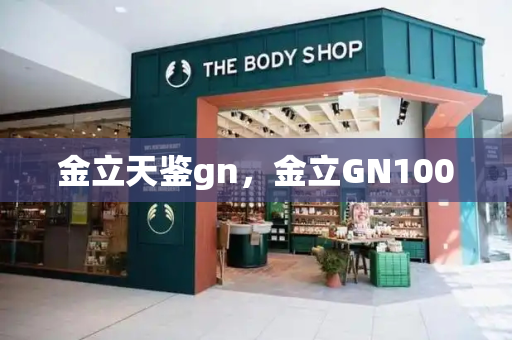 金立天鉴gn，金立GN100-第1张图片-星选测评