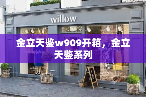 金立天鉴w909开箱，金立天鉴系列-第1张图片-星选测评