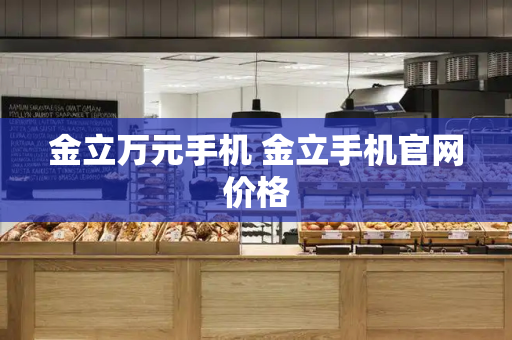 金立万元手机 金立手机官网价格