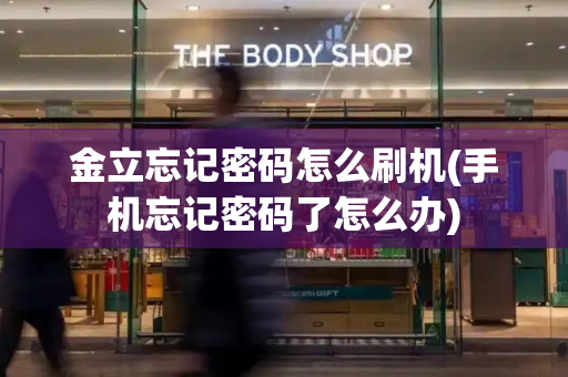 金立忘记密码怎么刷机(手机忘记密码了怎么办)