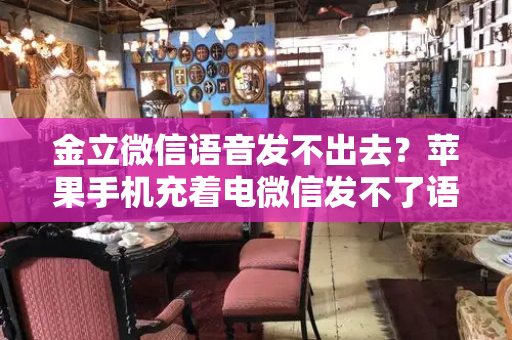金立微信语音发不出去？苹果手机充着电微信发不了语音-第1张图片-星选测评