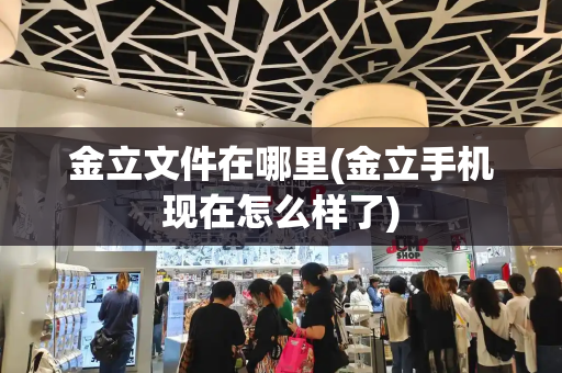 金立文件在哪里(金立手机现在怎么样了)-第1张图片-星选测评