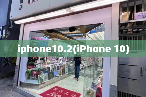 iphone10.2(iPhone 10)