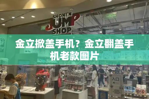 金立掀盖手机？金立翻盖手机老款图片-第1张图片-星选测评