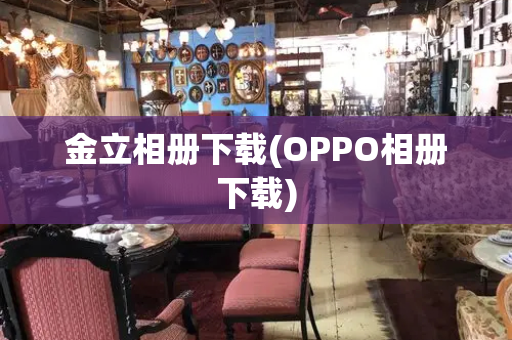 金立相册下载(OPPO相册下载)-第1张图片-星选测评