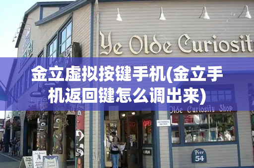 金立虚拟按键手机(金立手机返回键怎么调出来)-第1张图片-星选测评