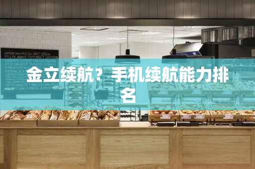 金立续航？手机续航能力排名
