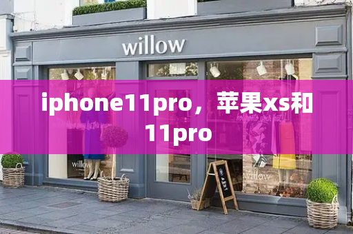 iphone11pro，苹果xs和11pro-第1张图片-星选测评