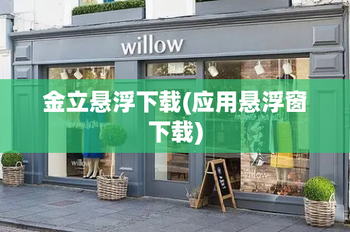 金立悬浮下载(应用悬浮窗下载)