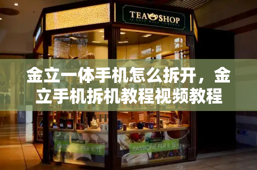 金立一体手机怎么拆开，金立手机拆机教程视频教程