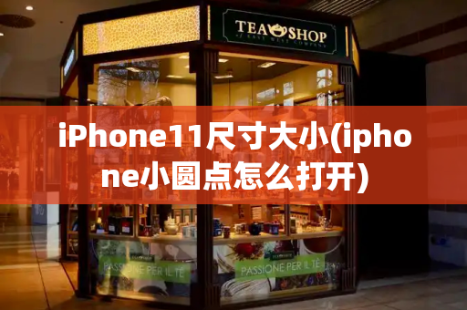 iPhone11尺寸大小(iphone小圆点怎么打开)-第1张图片-星选测评