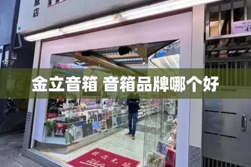 金立音箱 音箱品牌哪个好