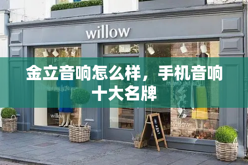 金立音响怎么样，手机音响十大名牌