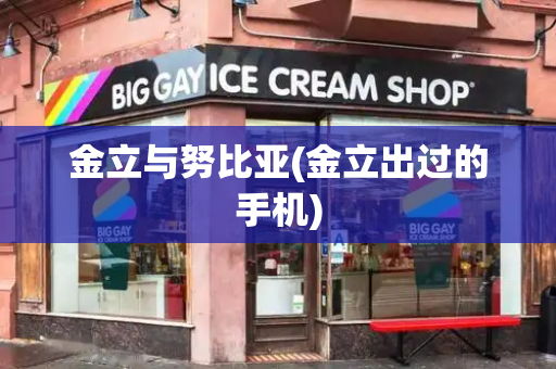 金立与努比亚(金立出过的手机)