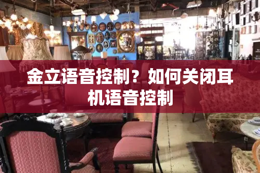 金立语音控制？如何关闭耳机语音控制-第1张图片-星选测评