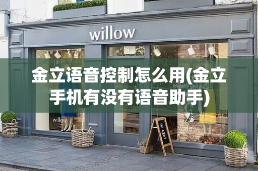 金立语音控制怎么用(金立手机有没有语音助手)-第1张图片-星选测评