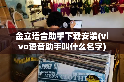 金立语音助手下载安装(vivo语音助手叫什么名字)