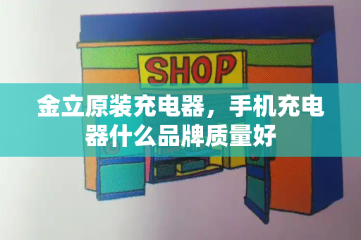 金立原装充电器，手机充电器什么品牌质量好-第1张图片-星选测评