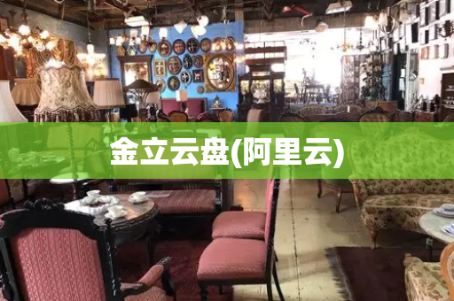 金立云盘(阿里云)-第1张图片-星选测评