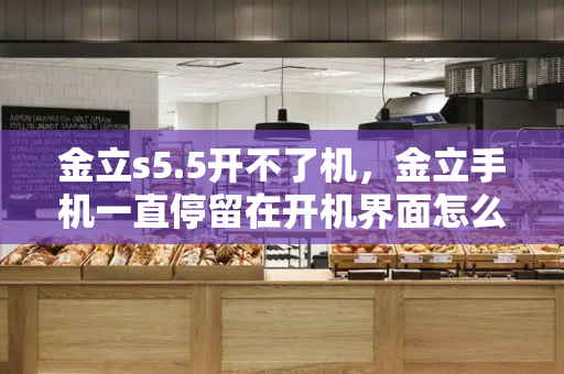 金立s5.5开不了机，金立手机一直停留在开机界面怎么办-第1张图片-星选测评
