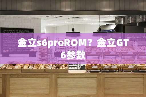 金立s6proROM？金立GT6参数