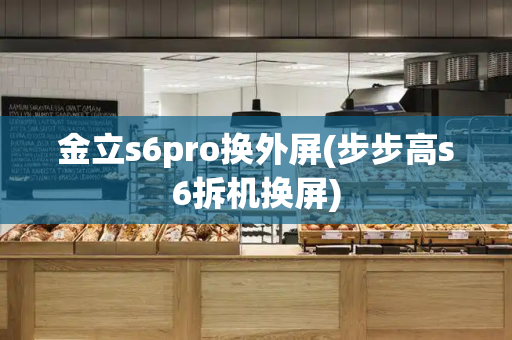 金立s6pro换外屏(步步高s6拆机换屏)