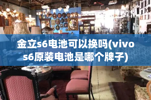 金立s6电池可以换吗(vivos6原装电池是哪个牌子)-第1张图片-星选测评