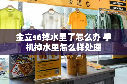 金立s6掉水里了怎么办 手机掉水里怎么样处理-第1张图片-星选测评