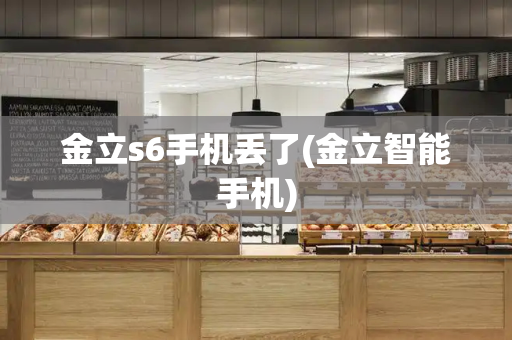 金立s6手机丢了(金立智能手机)