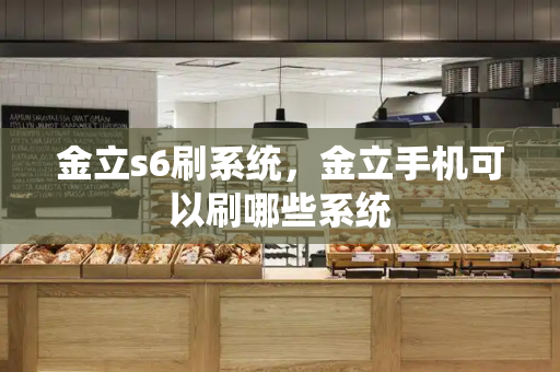 金立s6刷系统，金立手机可以刷哪些系统