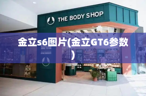 金立s6图片(金立GT6参数)-第1张图片-星选测评