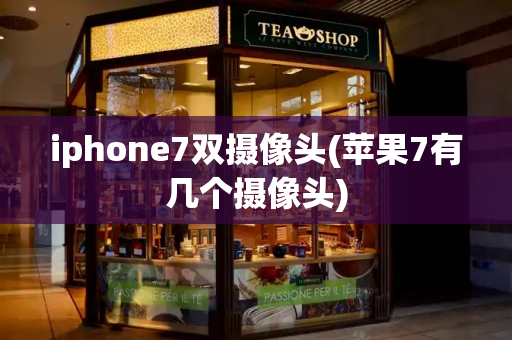 iphone7双摄像头(苹果7有几个摄像头)-第1张图片-星选测评