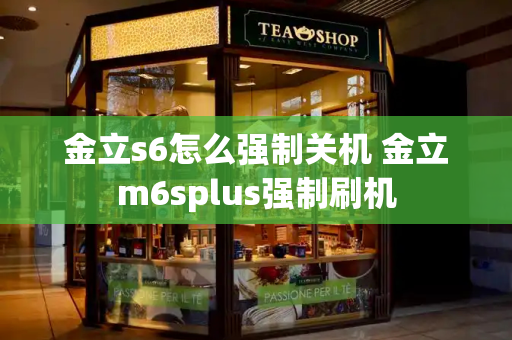金立s6怎么强制关机 金立m6splus强制刷机-第1张图片-星选测评