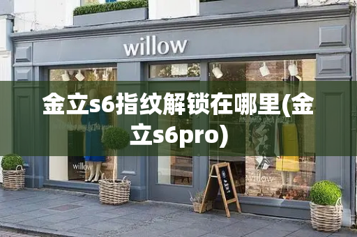 金立s6指纹解锁在哪里(金立s6pro)-第1张图片-星选测评