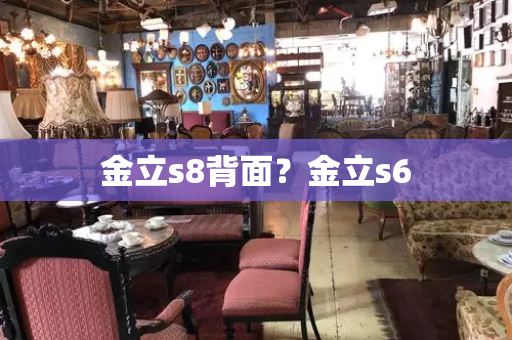 金立s8背面？金立s6