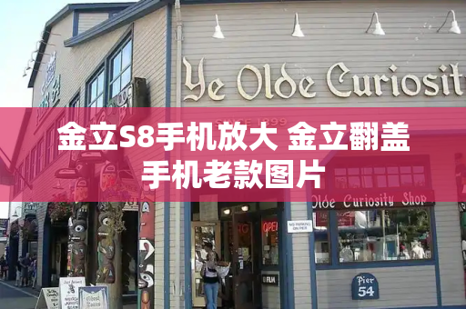 金立S8手机放大 金立翻盖手机老款图片-第1张图片-星选测评