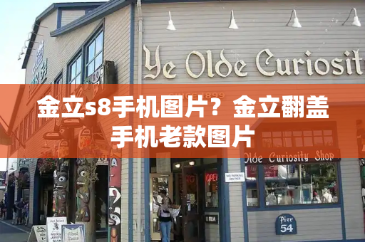 金立s8手机图片？金立翻盖手机老款图片