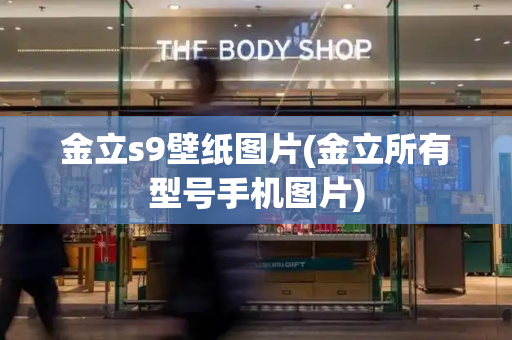 金立s9壁纸图片(金立所有型号手机图片)