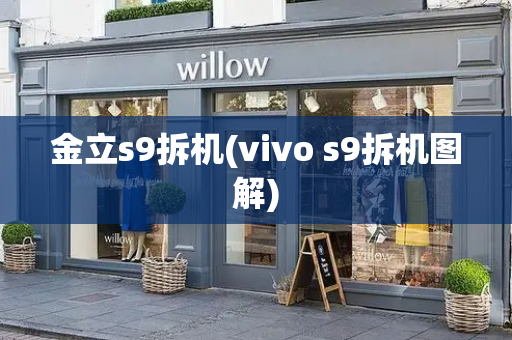 金立s9拆机(vivo s9拆机图解)-第1张图片-星选测评