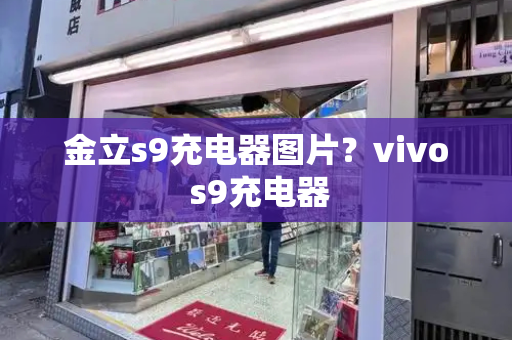 金立s9充电器图片？vivo s9充电器-第1张图片-星选测评
