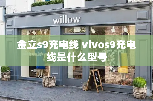金立s9充电线 vivos9充电线是什么型号