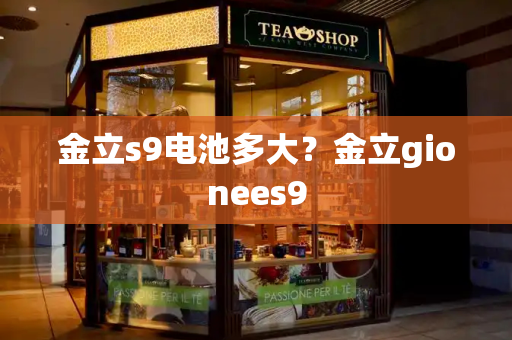 金立s9电池多大？金立gionees9