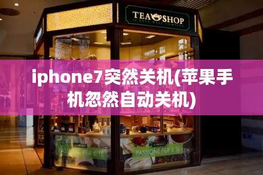 iphone7突然关机(苹果手机忽然自动关机)-第1张图片-星选测评